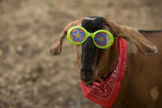 Bandanas Are Excellent for Accessorizing With Any Design